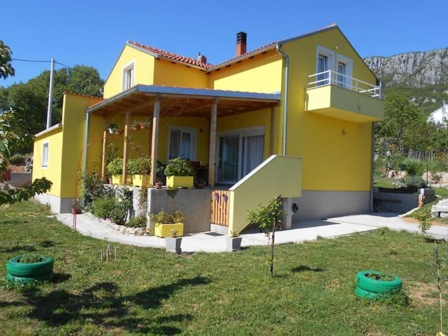 Apartment Flower House Bribir (Primorje-Gorski Kotar)